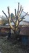 2015-03-28 17.02.27 (Lenovo-PC's conflicted copy 2015-03-30).jpg